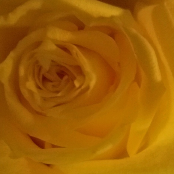 Profile Picture of Kelly Bosiacki (@tischer) on Poshmark