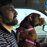 Profile Picture of Jason liggett (@reboot333) on Instagram