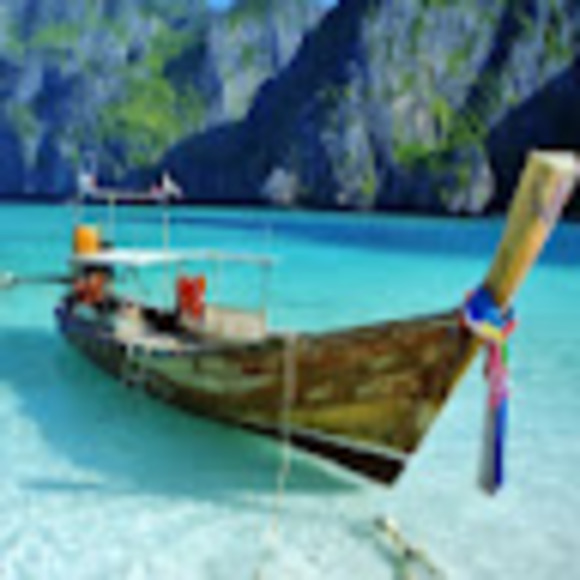 Profile Picture of Kelly Tridle (@kstridle) on Poshmark