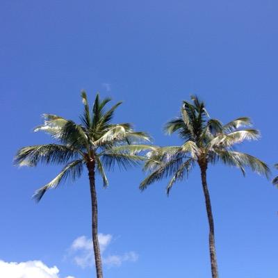 Profile Picture of Cory Oswald (@coryoswald04) on Twitter
