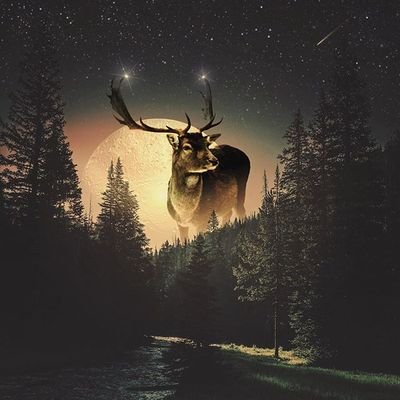 Profile Picture of Valery (@ValeryJames07) on Twitter