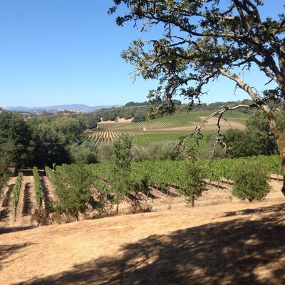 Profile Picture of Scott Reeves (@scottcreeves) on Twitter