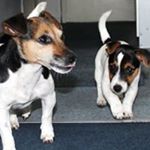 Profile Picture of Annabell Neumann (@neumannannabell) on Instagram