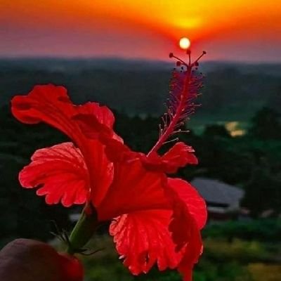 Luz Portillo - Twitter Profile Picture of Luz Portillo (@luzportillo00) on Twitter