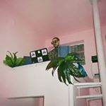 Profile Picture of Ariel Max Levy (@arielmaxlevy) on Instagram