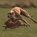 Profile Picture of Edward barrett (@edwardbarrett8191) on Instagram