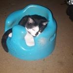 Kelly Markham - Instagram Profile Picture of Kelly Markham (@kelly_markham) on Instagram