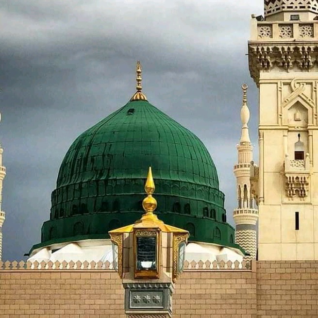 Profile Picture of Mohsin Siddiqui (@mohsinsiddiqui3182) on Tiktok