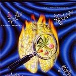 Peter Ehringer - Instagram Profile Picture of Peter Ehringer (@petrocelli10) on Instagram