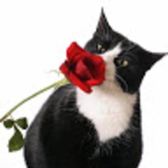 Profile Picture of Ghada Nairi (@ghadanairi) on Poshmark