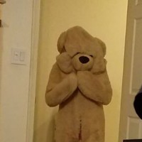 Profile Picture of Savannah Archer (@savannah-archer-9) on Quora