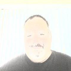 Profile Picture of Joseph Panichelli (@panichellijose1) on Twitter