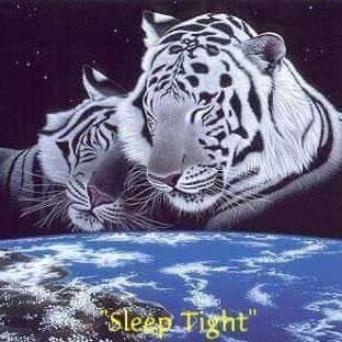 Profile Picture of Andreas Possner (@andreas.possner.9) on Facebook