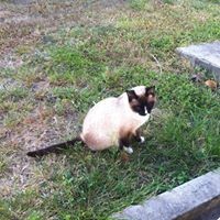 Profile Picture of Nic Janides (@nic-janides) on Quora