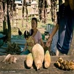 Profile Picture of Michael Williams (@yanishinajsmola63) on Instagram