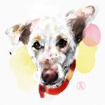 Profile Picture of Claire & Cocoro (@cocoro_claire) on Instagram