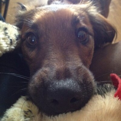 Profile Picture of Michael Lambdin (@Lamby_01) on Twitter