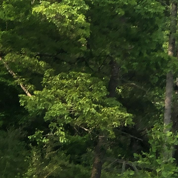 Profile Picture of hiii (@dellabryant3) on Tiktok