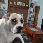 Profile Picture of Brian Bagnall (@bd_bag1977) on Instagram