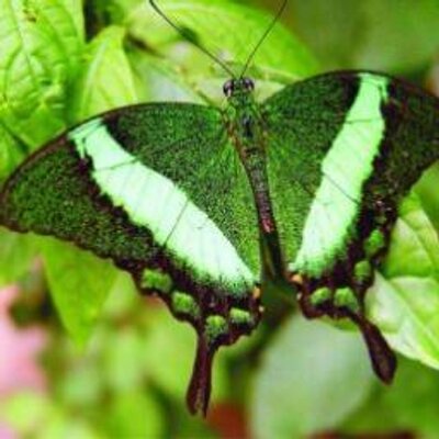 Profile Picture of James Mellis (@james_mellis) on Twitter