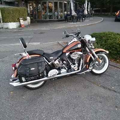 Profile Picture of Steve Sammon (@SteveSammon) on Twitter