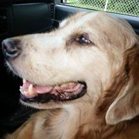 Profile Picture of Bradley Cooke (@bradley-cooke-1) on Quora