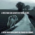 Profile Picture of Joshua Thornsberry (@joshuathornsberry) on Instagram