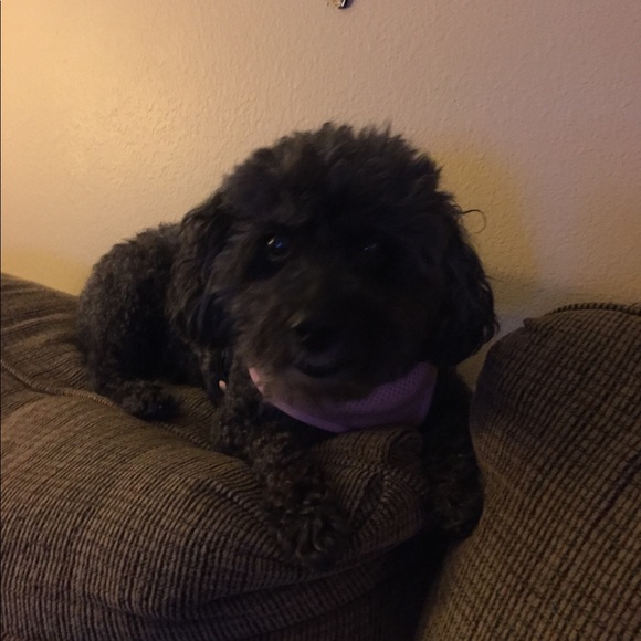 Profile Picture of Erin Mcgrath (@misserinmcg) on Poshmark