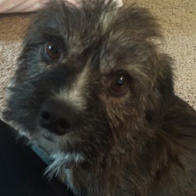 Kylie - Twitter Profile Picture of Kylie (@kyliehurst0863) on Twitter