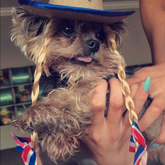 Profile Picture of Ray Handen (@rayh8100) on Poshmark