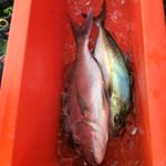 Profile Picture of David Wardle (@david.wardle10) on Instagram