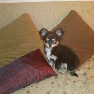 Mario Alberto Larrea - Twitter Profile Picture of Mario Alberto Larrea (@marito1961) on Twitter