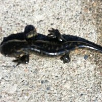 Profile Picture of David Soeby (@david-soeby) on Quora