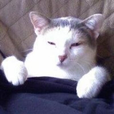 William T. Rink - Twitter Profile Picture of William T. Rink (@thegiantrussian) on Twitter