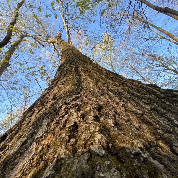 Profile Picture of John Main (@@johnmain11) on Tiktok