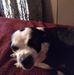Profile Picture of Teresa Pritchard (@teresa.pritchard.969) on Facebook