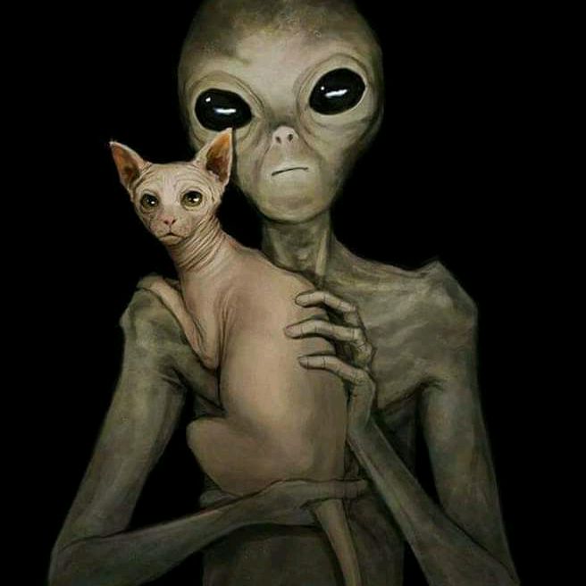 Profile Picture of Scott Dunton (@sheetrocker420) on Tiktok