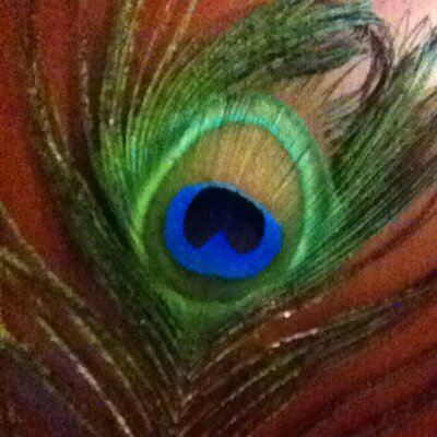 Profile Picture of 🌱💧🐨Rosalind (@rozmar11) on Twitter
