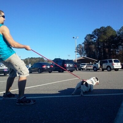 Profile Picture of Patrick M Geer (@PatrickMGeer) on Twitter