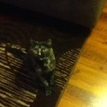 Taylor - Instagram Profile Picture of Taylor (@taylorbechel) on Instagram