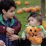 Oliver Maxwell - Instagram Profile Picture of Oliver Maxwell (@chinarobert__) on Instagram