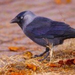 Profile Picture of Dockery (@dockeryadamsri) on Instagram