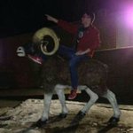 Profile Picture of Donny Cramer (@donnyc590) on Instagram