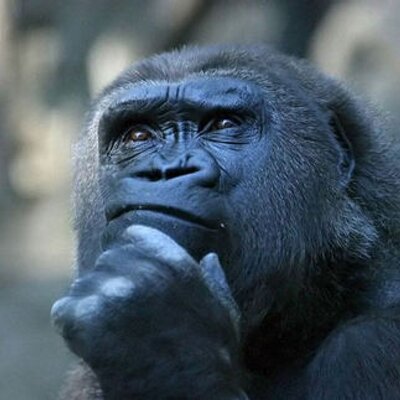 Profile Picture of William R Tatum (@mutat_baylor) on Twitter