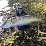 Profile Picture of Chad Dietrich (@chad_dietrich) on Instagram