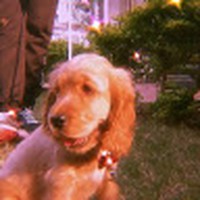 Profile Picture of Trisha Edwards (@trisha-edwards-26) on Quora