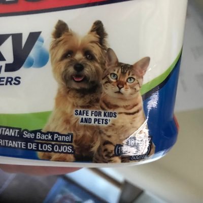 Julie Stocker - Twitter Profile Picture of Julie Stocker (@iamjuliestocker) on Twitter