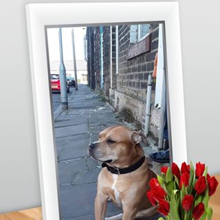 Profile Picture of Peter Snowden (@peter.snowden.313) on Facebook