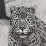 Profile Picture of Stephanie Soderberg (@sodapop.draws) on Instagram