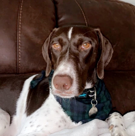 Amy Wilkinson - Poshmark Profile Picture of Amy Wilkinson (@a_wilkinson2) on Poshmark